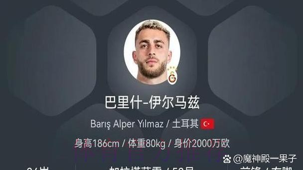 六台:老佛爷与多特关系不错 哈兰德希望加盟皇马